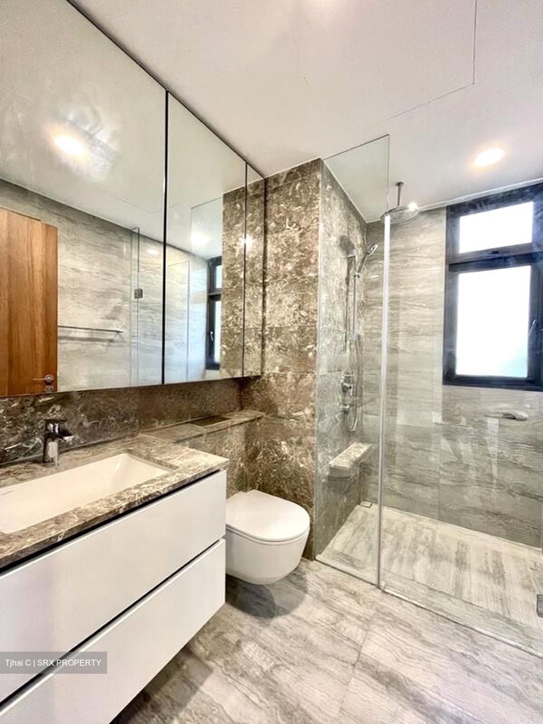 Fourth Avenue Residences (D10), Apartment #439662871